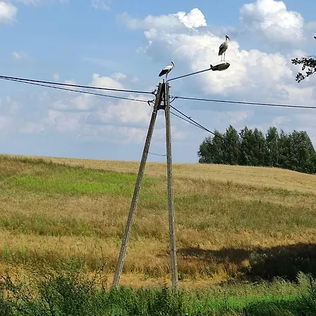 Jezioraczek Holiday home